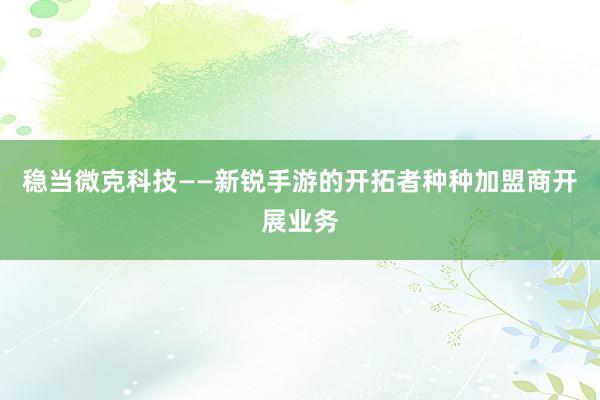 稳当微克科技——新锐手游的开拓者种种加盟商开展业务